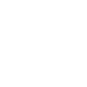 Logo Neckarsulmer Neckarsulm in Concert